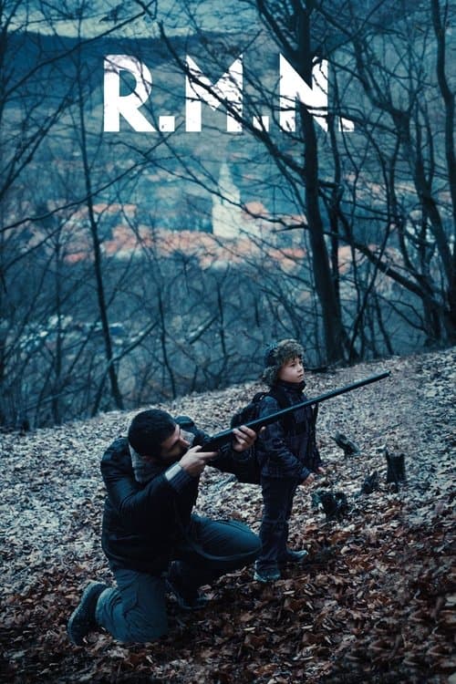 Manyetik Rezonans afişi