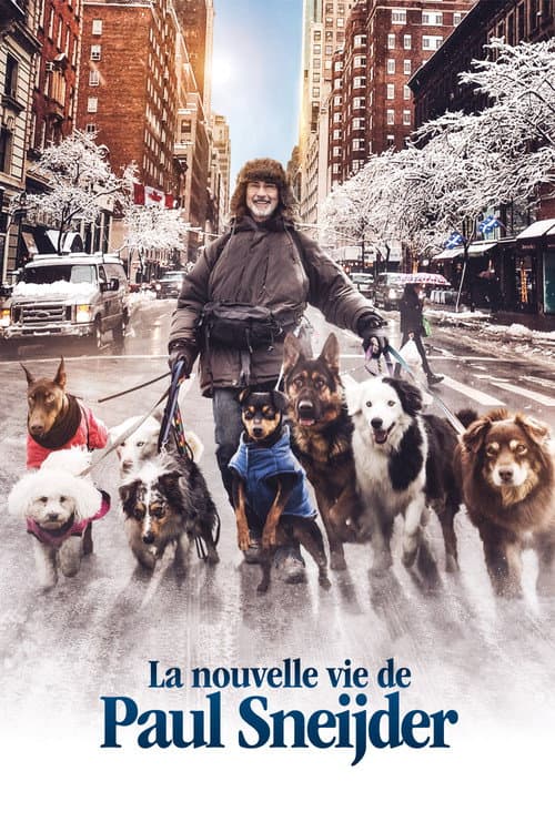La Nouvelle Vie de Paul Sneijder afişi