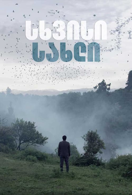 სხვისი სახლი afişi