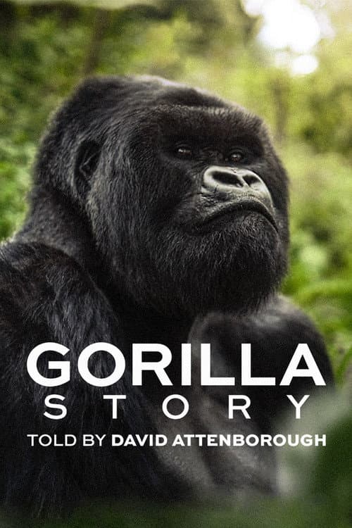 David Attenborough: Bir Goril Hikâyesi afişi