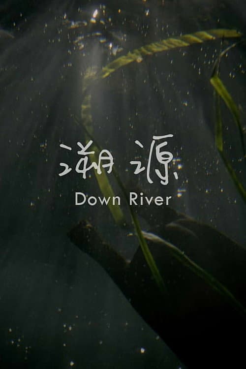 溯源 afişi