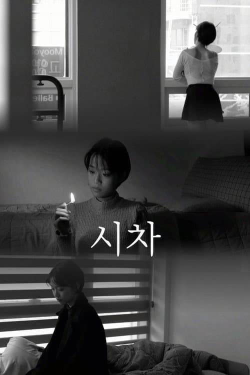 시차 afişi
