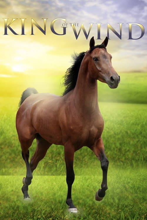 King of the Wind afişi