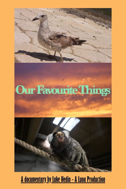 Our Favourite Things afişi