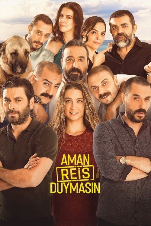 Aman Reis Duymasın afişi