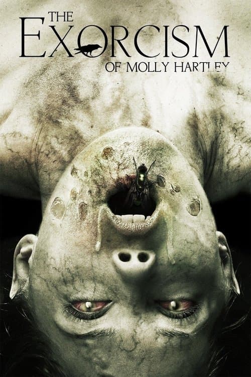 Molly Hartley'nin Laneti 2 afişi