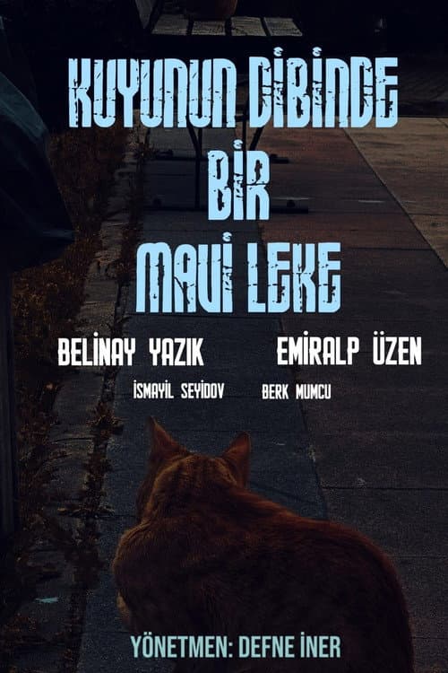 Kuyunun Dibinde Bir Mavi Leke afişi