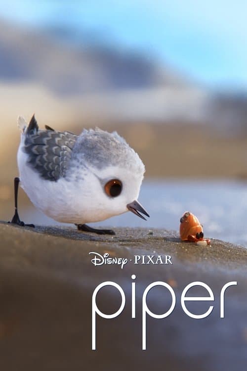 Piper afişi