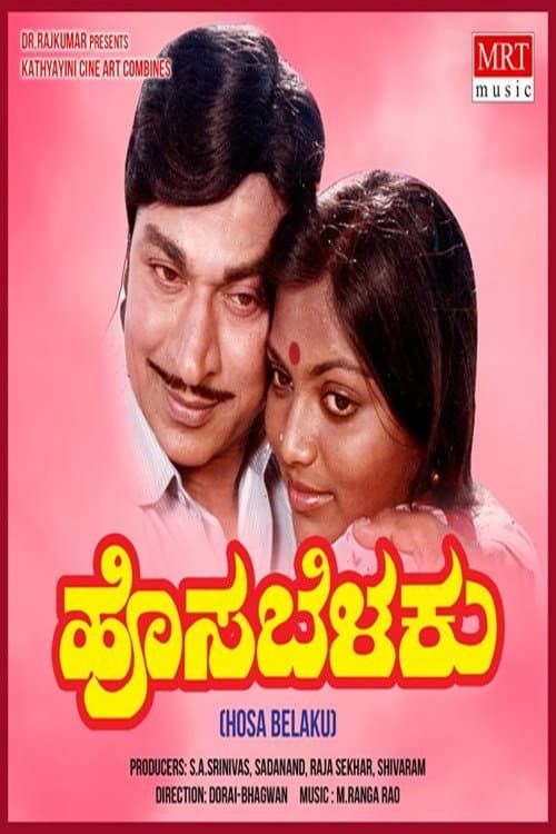 ಹೊಸಬೆಳಕು afişi