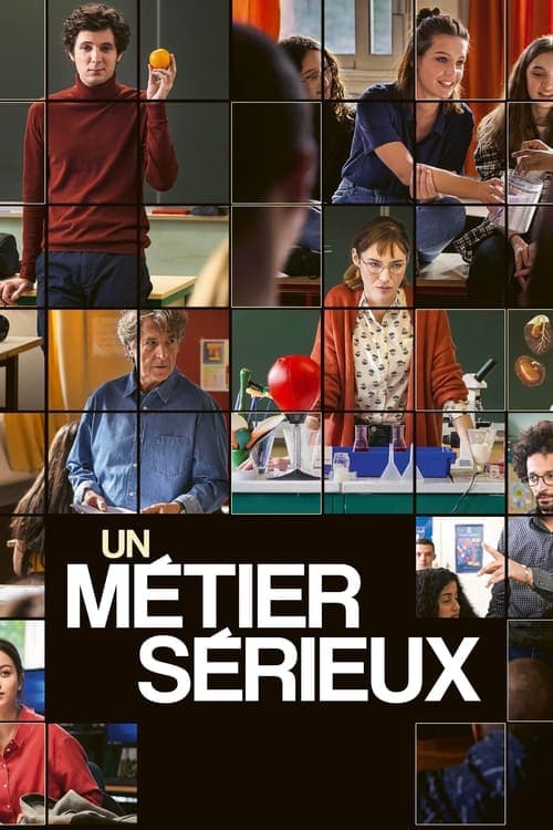 Un métier sérieux afişi