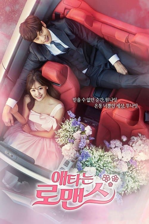 My Secret Romance afişi