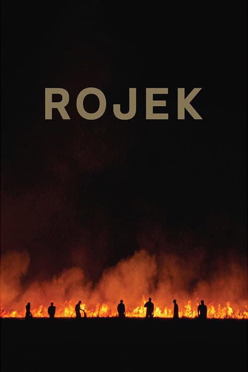 Rojek afişi