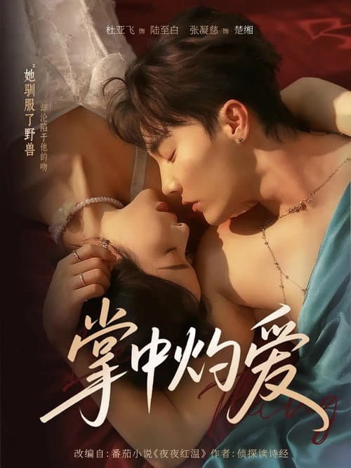 掌中灼爱 afişi