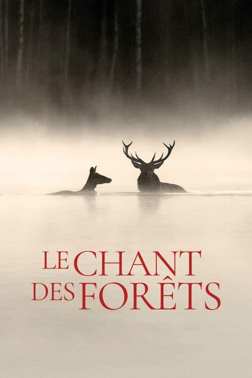 Le Chant des forêts afişi