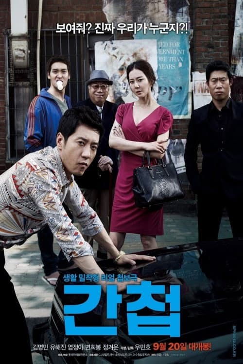 간첩 afişi