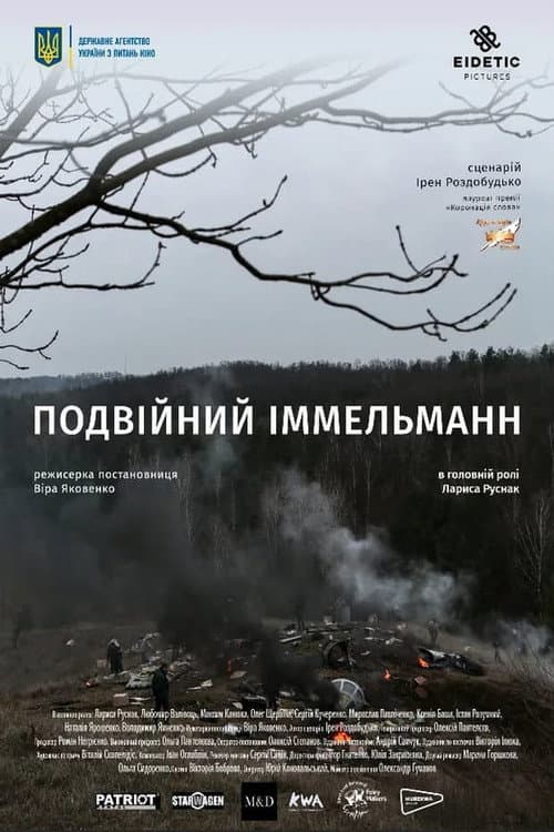 Подвійний іммельманн afişi