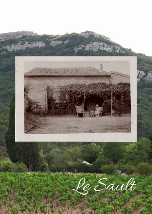 Le Sault afişi