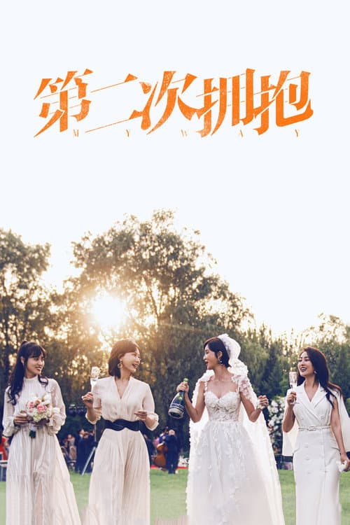 第二次拥抱 afişi
