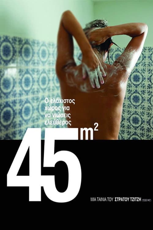 45m² afişi