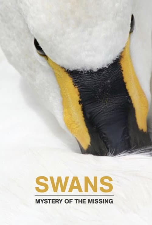 Swans: Mystery of the Missing afişi