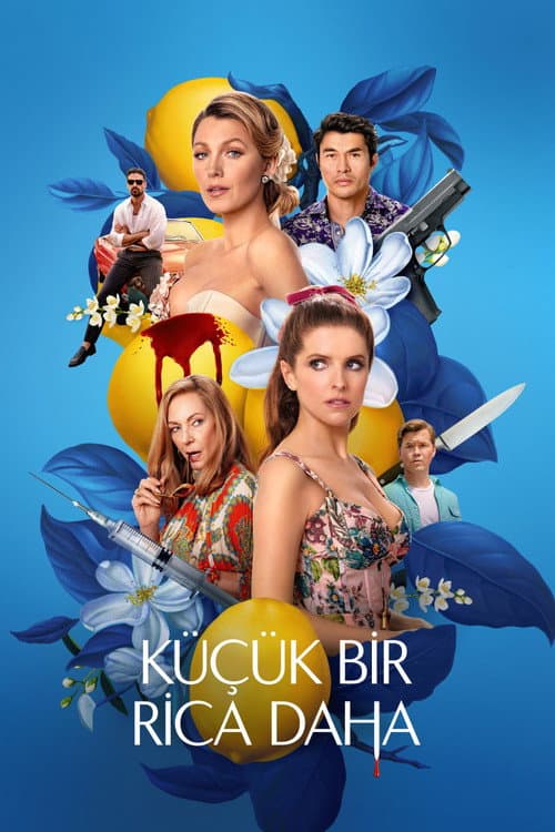 Küçük Bir Rica Daha afişi