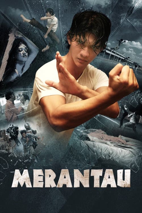 Merantau Savaşçısı afişi