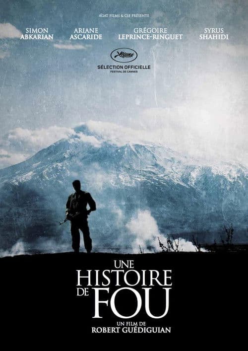 Une histoire de fou afişi