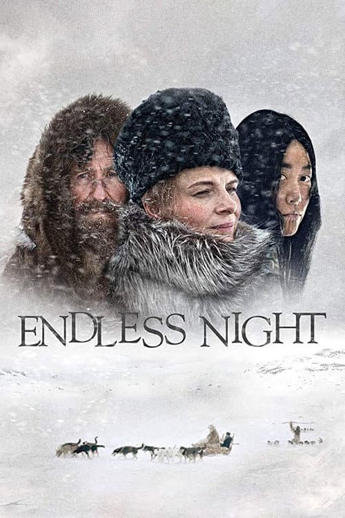 Bitmeyen Gece afişi