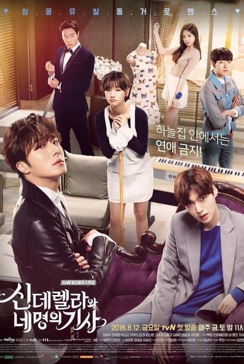 신데렐라와 네명의 기사 afişi