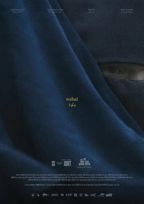 Walud afişi