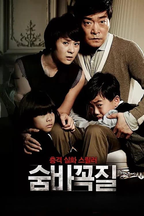 숨바꼭질 afişi