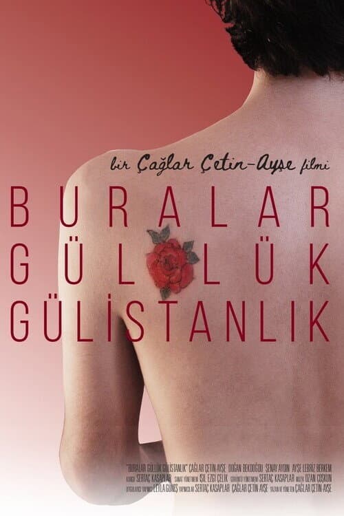 Buralar Güllük Gülistanlık afişi