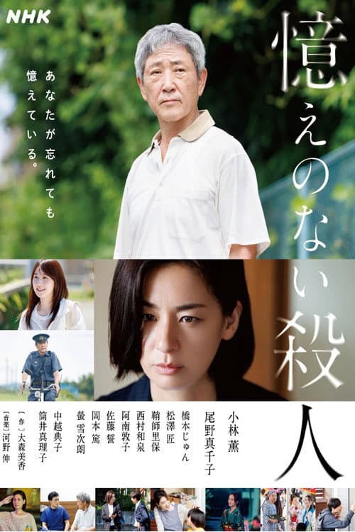 憶えのない殺人 afişi