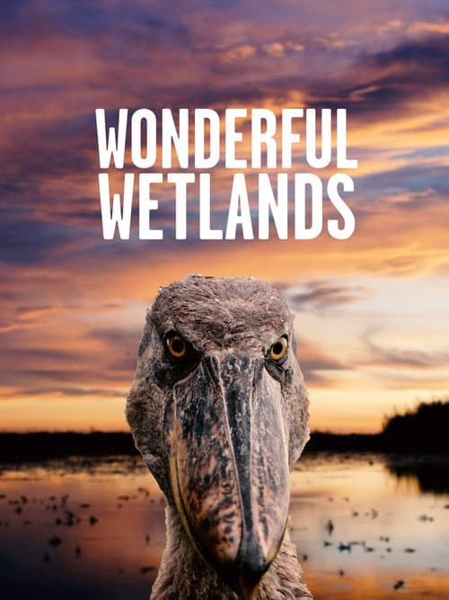 Wonderful Wetlands afişi