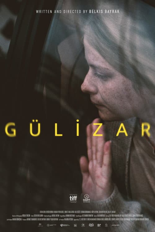 Gülizar afişi