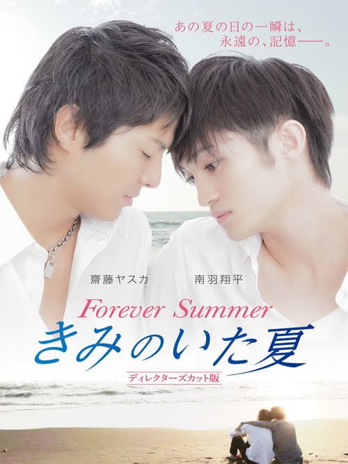 きみのいた夏　ディレクターズカット版 afişi