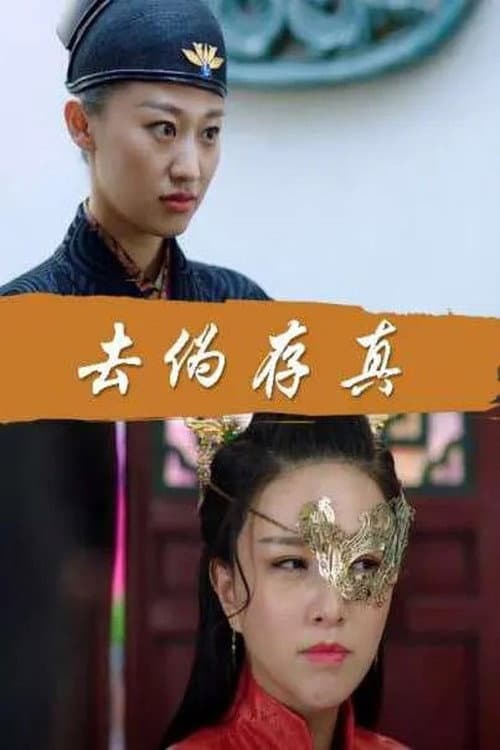 去伪存真 afişi