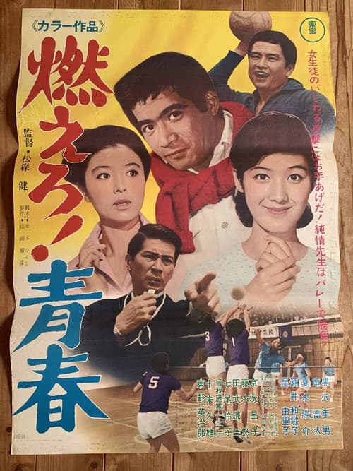 燃えろ！青春 afişi