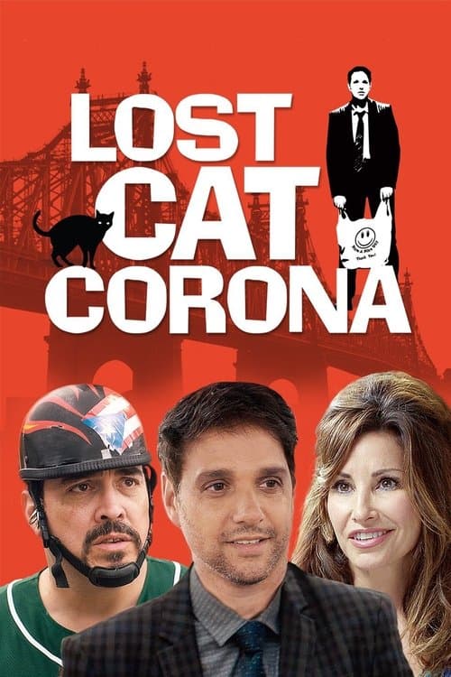 Kayıp Kedi Corona afişi