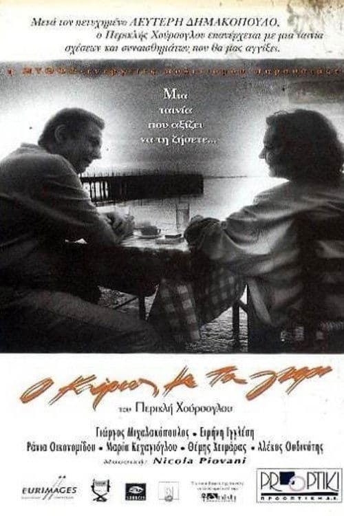 Ο κύριος με τα γκρι afişi