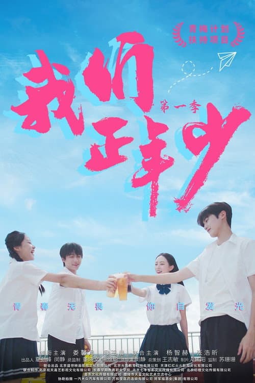 我们正年少 afişi