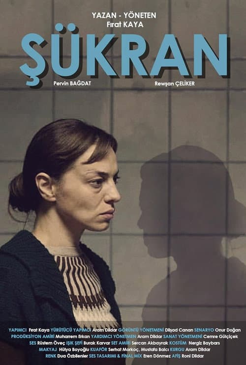 Şükran afişi