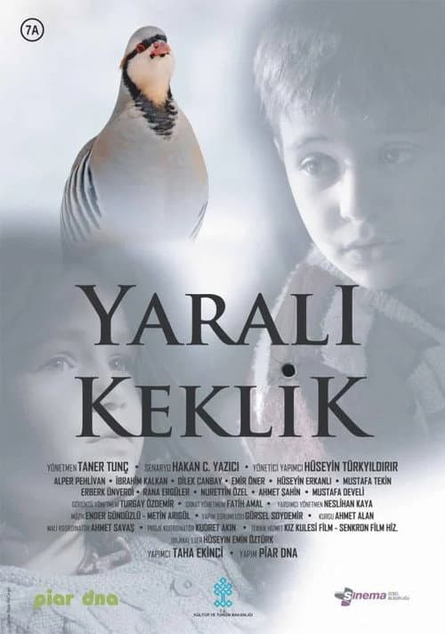 Yaralı Keklik afişi