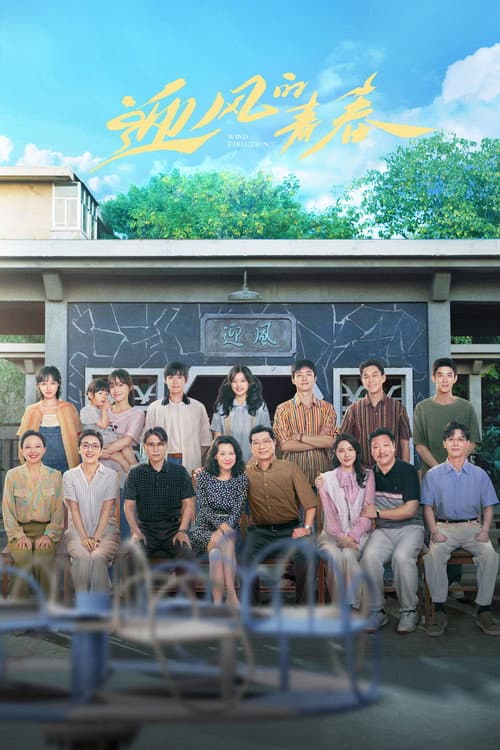 迎风的青春 afişi