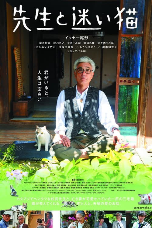 先生と迷い猫 afişi