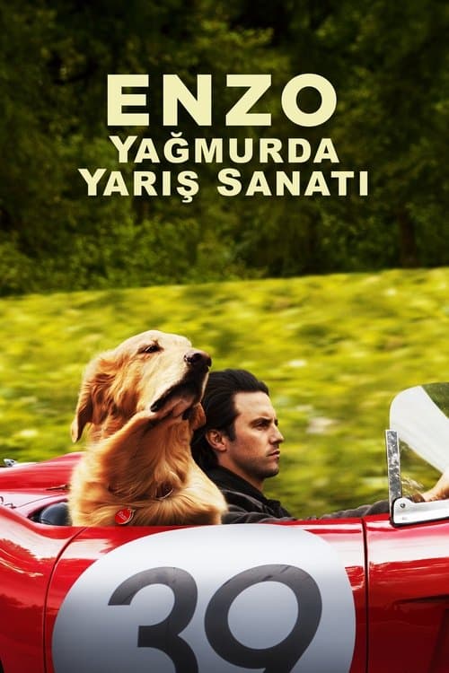 Enzo: Yağmurda Yarış Sanatı afişi