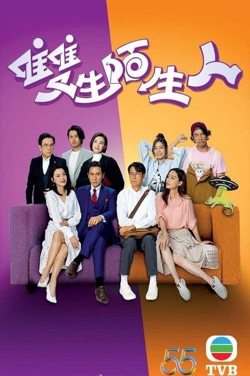 雙生陌生人 afişi