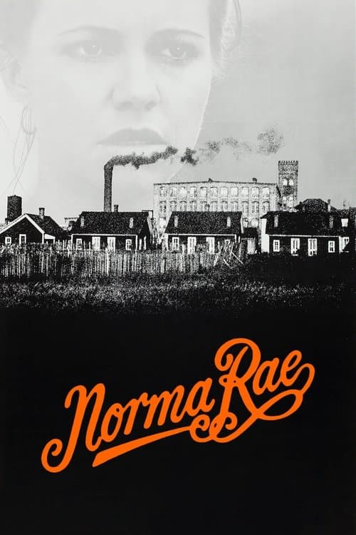 Norma Rae afişi
