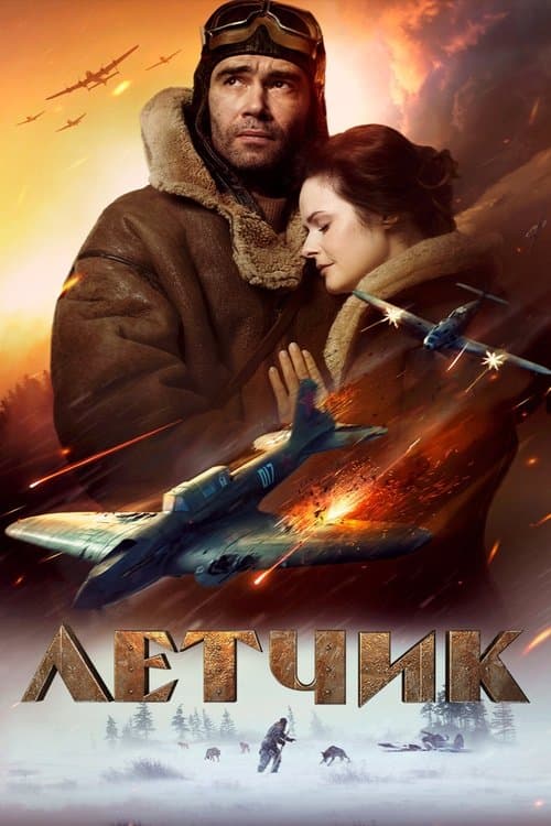 Bir Pilotun Hayatta Kalma Mücadelesi afişi