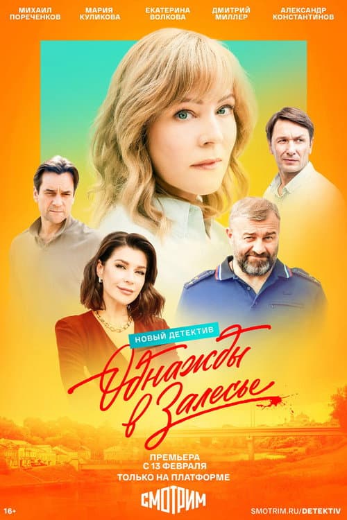 Однажды в Залесье afişi